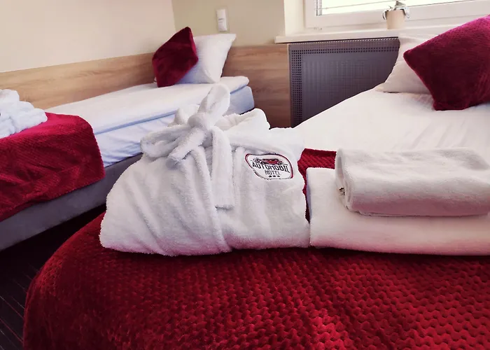 奥托摩比尔酒店 3*